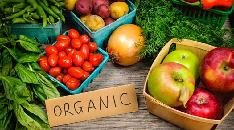 Organic Food Lifestyle: Powerful Path to Health Organic Food Lifestyle: Powerful Path to Health